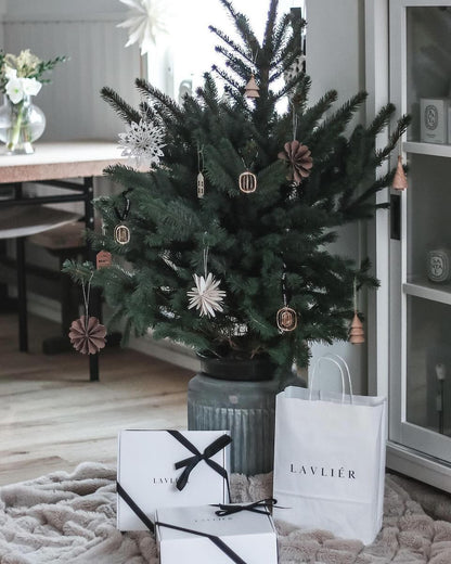 Lavliér Holiday Skincare Set